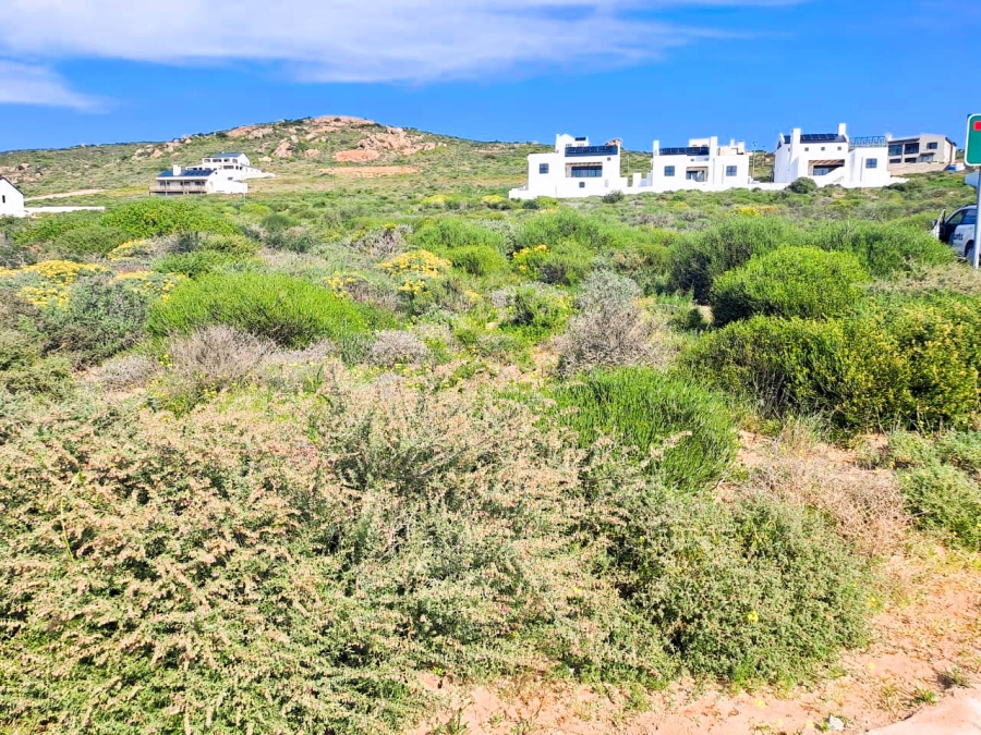 0 Bedroom Property for Sale in Steenbergs Cove Western Cape